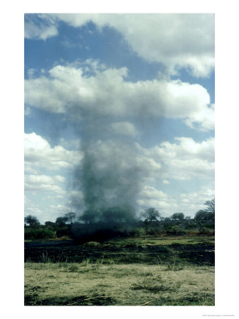 Dust Devil Approaching Tsavo, Kenya by Oxford Scientific Pricing Limited Edition Print image