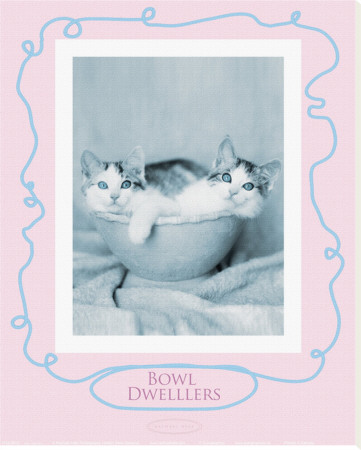 Bowl Dwellers by Rachael Hale Pricing Limited Edition Print image