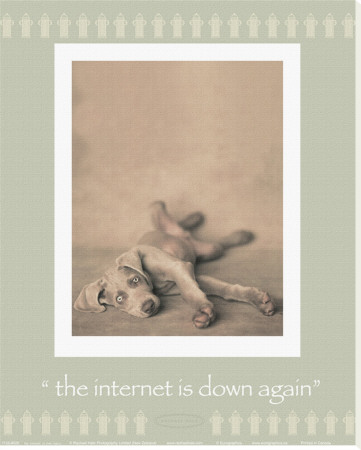 Internet Is Down Again by Rachael Hale Pricing Limited Edition Print image