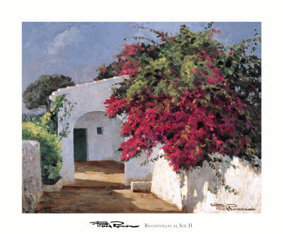 Buganvillas Al Sol Ii by Poch Romeu Pricing Limited Edition Print image