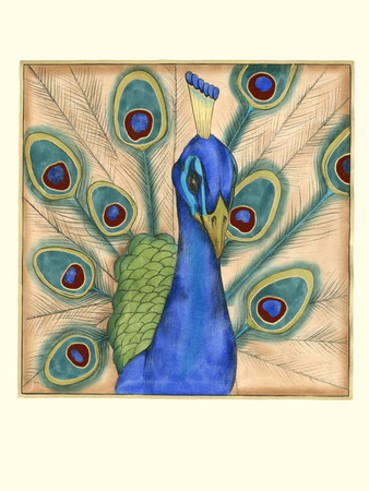 Eccentric Bird I by Jennifer Goldberger Pricing Limited Edition Print image