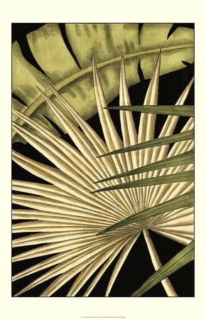 Rustic Tropical Leaves I by Ethan Harper Pricing Limited Edition Print image