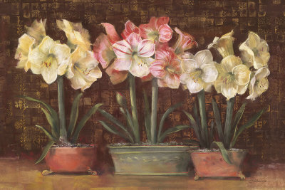 Amaryllis On Brown by Carol Rowan Pricing Limited Edition Print image