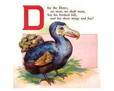 Dodo by William Stecher Pricing Limited Edition Print image