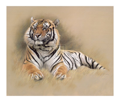 Tiger by Gary Stinton Pricing Limited Edition Print image