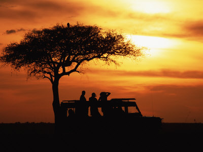Tourists At Sunset By Acacia Tree, Masai Mara Game Reserve, Kenya by Anup Shah Pricing Limited Edition Print image