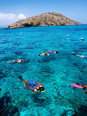 Snorkelers With Island In Background, St. Croix, Virgin Islands by Lee Foster Pricing Limited Edition Print image