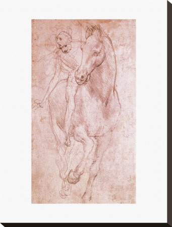 Horse And Rider by Leonardo Da Vinci Pricing Limited Edition Print image