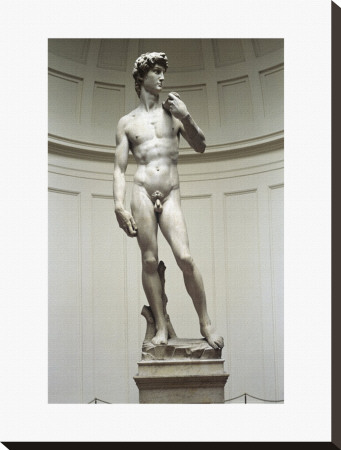 David by Michelangelo Buonarroti Pricing Limited Edition Print image
