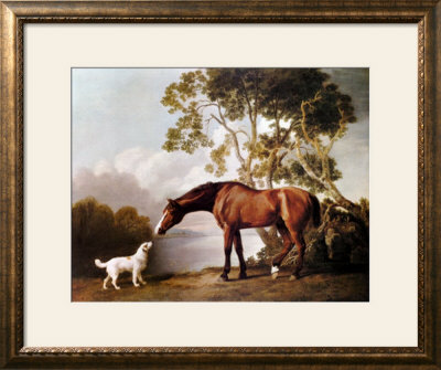 Bay Horse And White Dog by George Stubbs Pricing Limited Edition Print image
