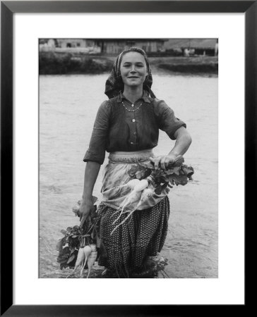 Girl Farm Worker Washing Turnips From River, On Collective Farm by Paul Schutzer Pricing Limited Edition Print image