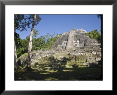 Highest Temple In Lamanai, Lamanai, Belize by Jane Sweeney Pricing Limited Edition Print image