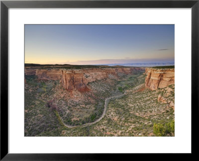 Ute Canyon, Colorado National Monument, Great Junction, Colorado, Usa by Michele Falzone Pricing Limited Edition Print image