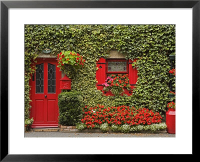 Ivy Covered Cottage, Town Of Borris, County Carlow, Leinster, Republic Of Ireland, Europe by Richard Cummins Pricing Limited Edition Print image