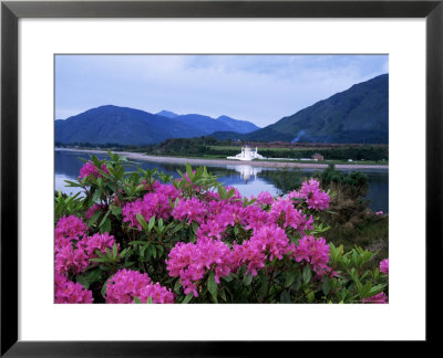 Corran Lighthouse And Loch Linnhe, Highland Region, Scotland, United Kingdom by Kathy Collins Pricing Limited Edition Print image