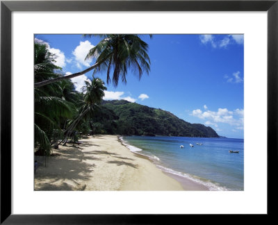 Castara Bay, Tobago, West Indies, Caribbean, Central America by Yadid Levy Pricing Limited Edition Print image