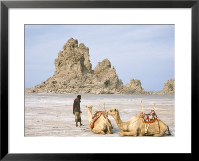 Tufa Towers At Lac Abhe, Afar Triangle, Djibouti by Tony Waltham Pricing Limited Edition Print image