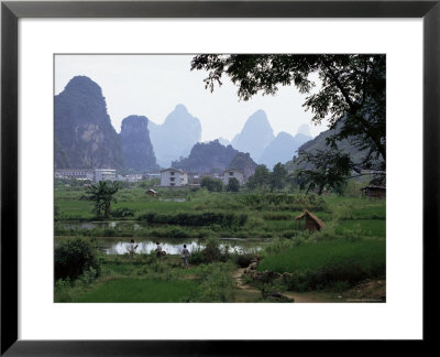 Farmland On Edge Of Town, Among The Limestone Towers, Yangshuo, Guangxi, China by Tony Waltham Pricing Limited Edition Print image