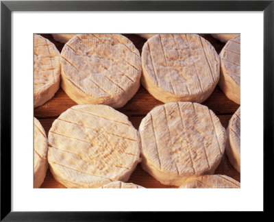 Maturing Camembert Cheese, Normandy, France by Guy Thouvenin Pricing Limited Edition Print image