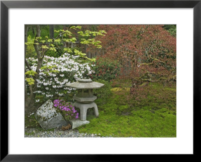 Japanese Garden At The Washington Park Arboretum, Seattle, Washington, Usa by Dennis Flaherty Pricing Limited Edition Print image
