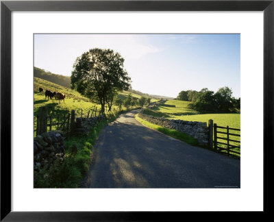 Countryside In Langstrothdale, Yorkshire Dales National Park, Yorkshire, England, United Kingdom by Patrick Dieudonne Pricing Limited Edition Print image