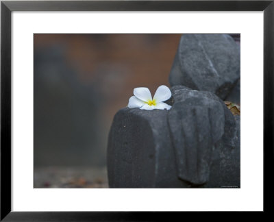 Buddha Statue, Temples Of Ayutthaya Thailand by Russell Young Pricing Limited Edition Print image
