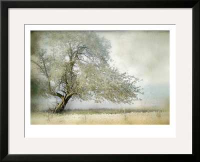 Tree In Field Of Flowers by Mia Friedrich Pricing Limited Edition Print image