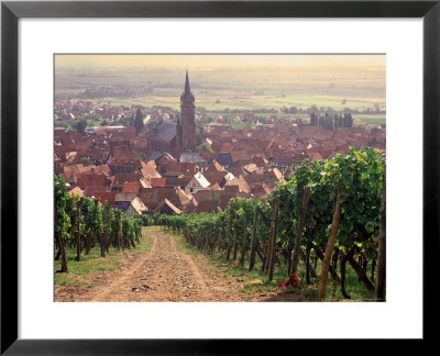Dambach-La-Ville, Alsace, France by Doug Pearson Pricing Limited Edition Print image
