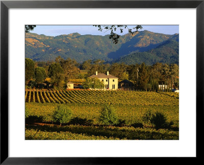 Estate And Vineyard, Napa Valley, California by John Alves Pricing Limited Edition Print image