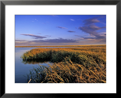 Benton Lake Nwr, Great Falls, Montana by Chuck Haney Pricing Limited Edition Print image