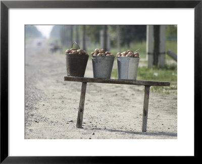 Potatoes For Sale On Roadside by Christopher Herwig Pricing Limited Edition Print image