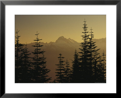 Tall Fir Trees Are Silhouetted Against A Snowy Mountain Range by Raymond Gehman Pricing Limited Edition Print image