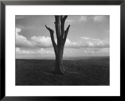 Malvern Hills, Where Robert Frost Once Lived by Howard Sochurek Pricing Limited Edition Print image