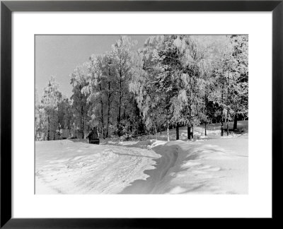 Snow Covering Countryside Near Lake Ladoga by Carl Mydans Pricing Limited Edition Print image