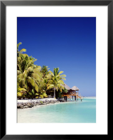 Palm Trees And Tropical Beach, Aitutaki Island, Cook Islands, Polynesia by Steve Vidler Pricing Limited Edition Print image