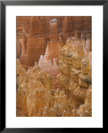 Thor's Hammer, Bryce Canyon National Park, Utah, United States Of America, North America by Jean Brooks Pricing Limited Edition Print image