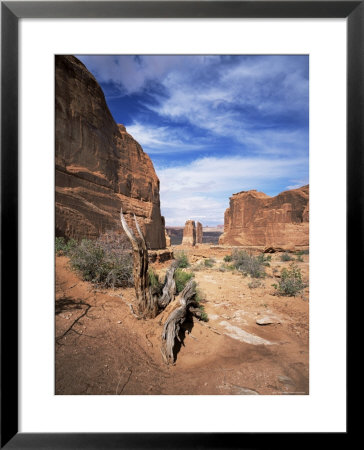 Park Avenue, Arches National Park, Moab, Utah, Usa by Lee Frost Pricing Limited Edition Print image