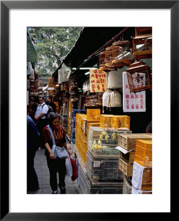 Yuen Po Street Bird Garden, Mong Kok, Kowloon, Hong Kong, China by Amanda Hall Pricing Limited Edition Print image