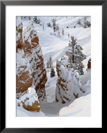 Snow, Trees, And Hoodoos, Bryce Canyon National Park, Utah, Usa by James Hager Pricing Limited Edition Print image