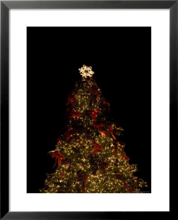 Christmas Tree At Night by John Burcham Pricing Limited Edition Print image