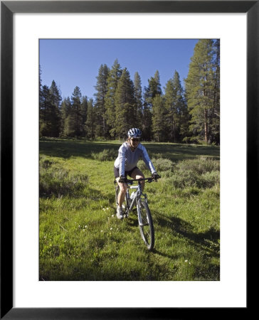 Woman Moutain Biking In Smith Meadows by Rich Reid Pricing Limited Edition Print image