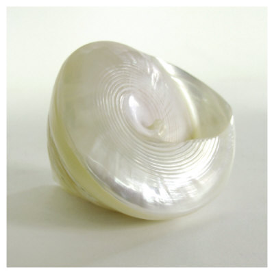 Shell Ii by Darlene Shiels Pricing Limited Edition Print image