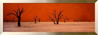 Namibie by Philippe Bourseiller Pricing Limited Edition Print image