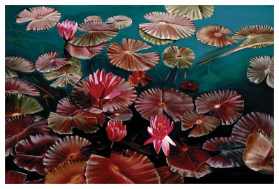 Red Water Lilies by Pamela Jablonski Pricing Limited Edition Print image