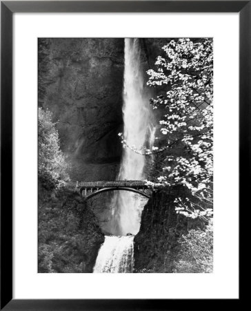 Multnomah Falls On Larch Mt. Where The Water Empties Into The Columbia River by Alfred Eisenstaedt Pricing Limited Edition Print image