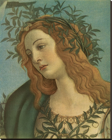 Minerva (Detail) by Sandro Botticelli Pricing Limited Edition Print image