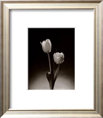 Red Tulips by Elizabeth King Brownd Pricing Limited Edition Print image