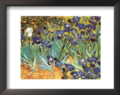 Irises, Saint-Remy, 1889 by Vincent Van Gogh Pricing Limited Edition Print image