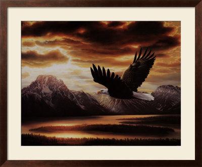 Bald Eagle by Ronnie Hedge Pricing Limited Edition Print image