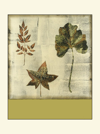 Leaf Etching Iii by Nancy Slocum Pricing Limited Edition Print image